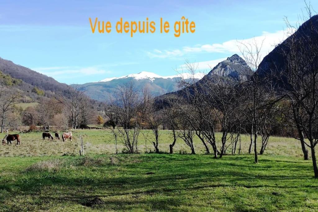 הוילה Saurat Grange En Pierres. Grand Jardin Et Belle Vue מראה חיצוני תמונה