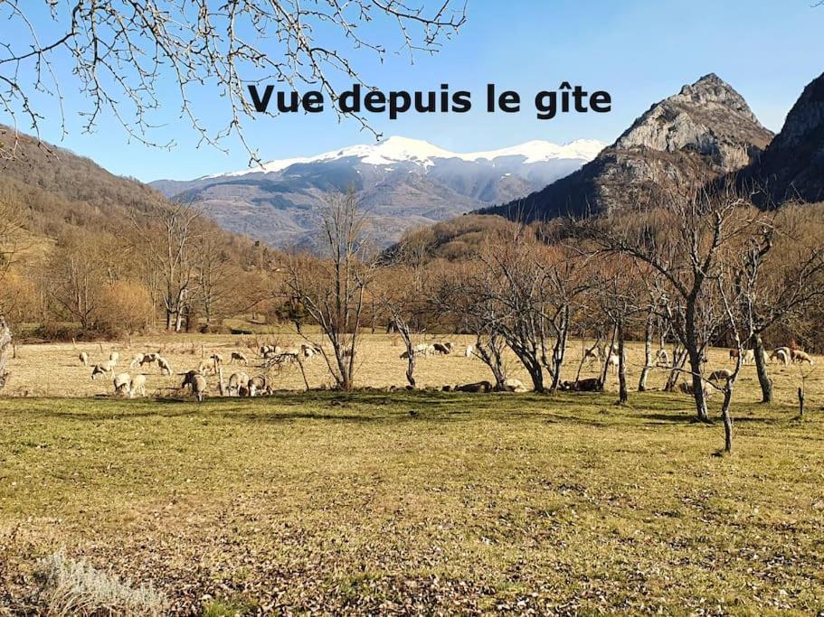 הוילה Saurat Grange En Pierres. Grand Jardin Et Belle Vue מראה חיצוני תמונה